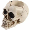 PERLE RARE Cendrier Effrayant - Cendrier Sous La Forme D'un Crâne - Cendrier á Thème Pour Différentes Occasions (01 Pièce - Crâne Nature) -Poubelle Boutique 59967310 1