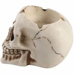 PERLE RARE Cendrier Effrayant - Cendrier Sous La Forme D'un Crâne - Cendrier á Thème Pour Différentes Occasions (01 Pièce - Crâne Nature) -Poubelle Boutique 59967310 3