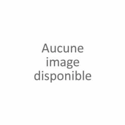 AUTRES Poubelle Couvercle Basculant Gris Silver 10L